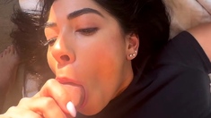 Pov amateur blowjob action