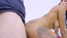 Pardinha Enrrabada Marido Negro Filma