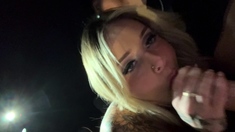 met at the bar fucked in the car