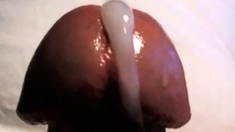 Sissy Slut Cum training