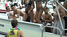 Babes have a blast during Mardi Gras flashing their sweet tits